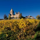 Lavaux1_swiss-image.ch_Christof Sonderegger